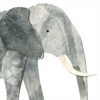 African Elephant Print Detail