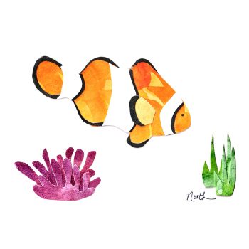 Orange Clownfish Print