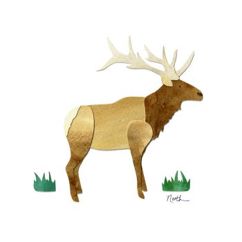 Elk Print