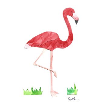 Flamingo Print