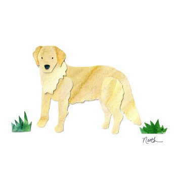 Golden Retriever Print