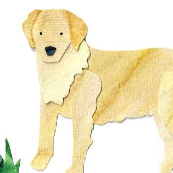 Golden Retriever Print Detail