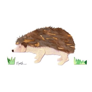 Hedgehog Print