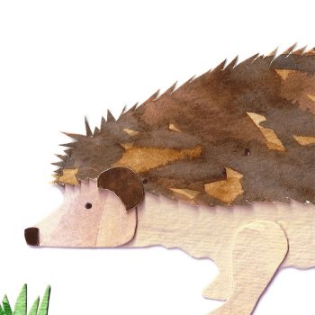 Hedgehog Print Detail