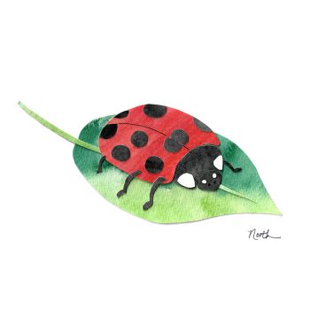 Ladybug Print