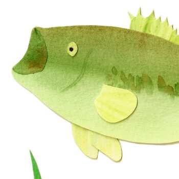 Largemouth Bass Print Detail