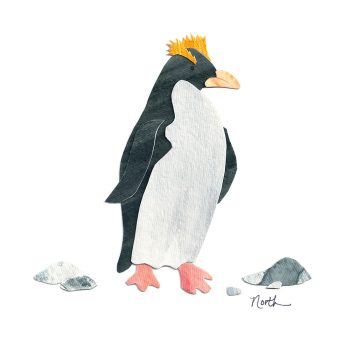 Macaroni Penguin Print