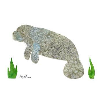Manatee Print