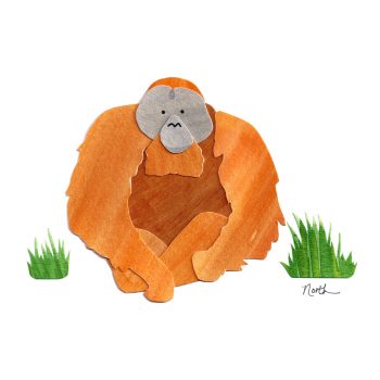 Orangutan Print