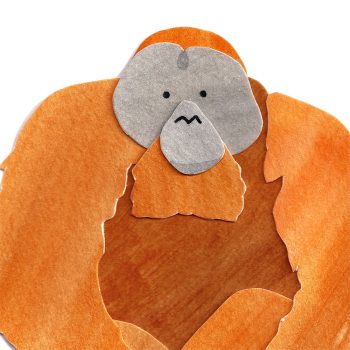 Orangutan Print Detail