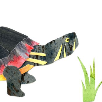 Painted Turtle Print Detail