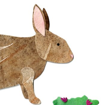 Cottontail Rabbit Print Detail