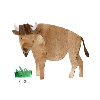 American Bison Print