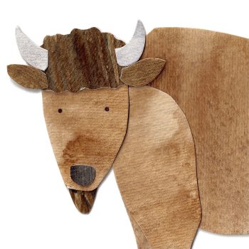 American Bison Print Detail