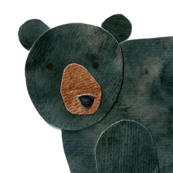 Black Bear Print Detail