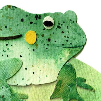 Bullfrog Print Detail