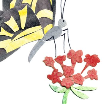 Swallowtail Butterfly Print Detail