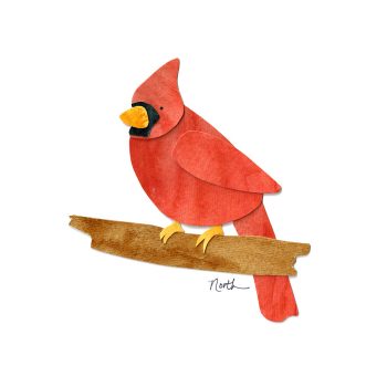 Cardinal Print