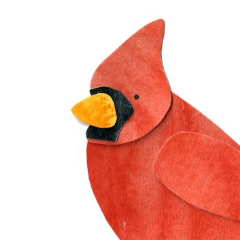 Cardinal Print Detail