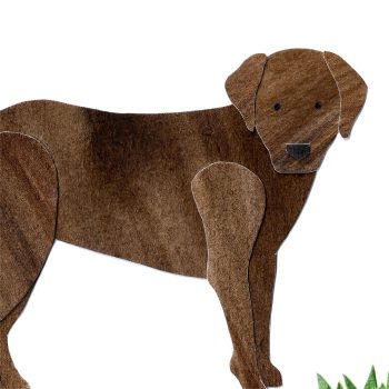 Chocolate Labrador Print Detail