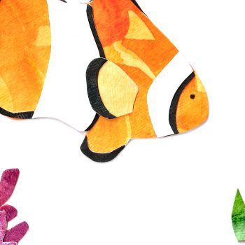 Orange Clownfish Print Detail