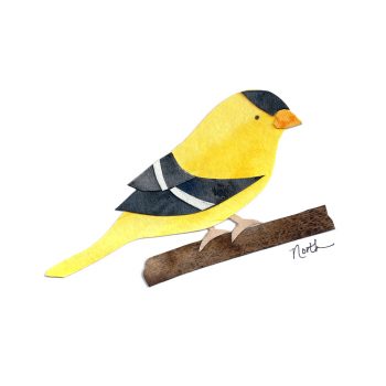 Goldfinch Print
