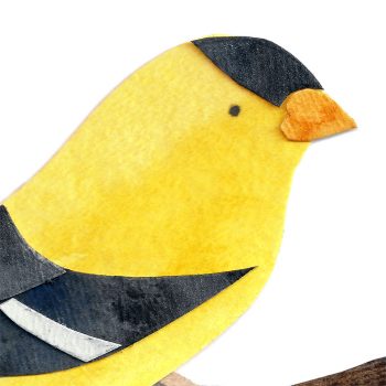 Goldfinch Print Detail