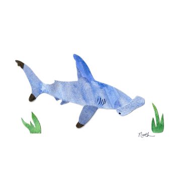 Hammerhead Shark Print
