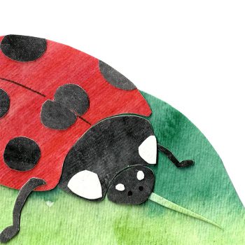 Ladybug Print Detail