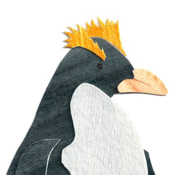 Macaroni Penguin Print Detail