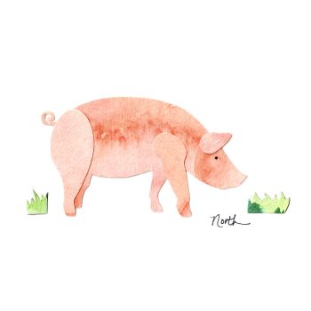 Pig Print