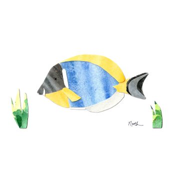 Powder Blue Tang Print