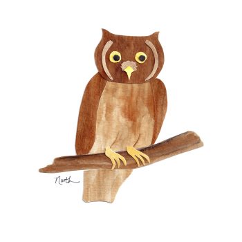 Eastern Screech Owl Print