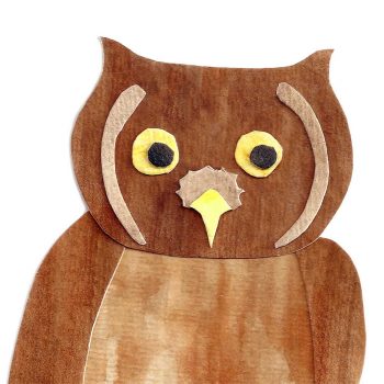 Eastern Screech Owl Print Detail