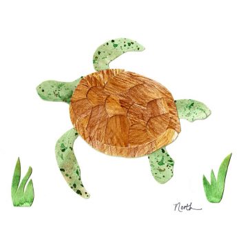 Green Sea Turtle Print