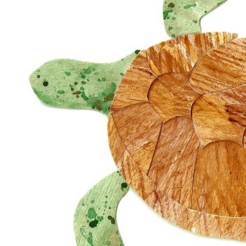 Green Sea Turtle Print Detail