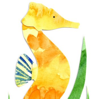 Seahorse Print Detail