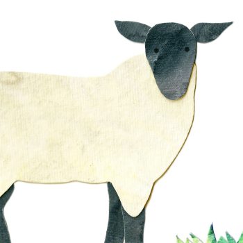 Sheep Print Detail