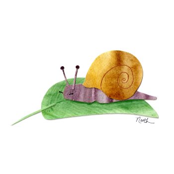 Snail Print