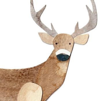 White Tailed Deer Print Detail