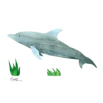 Bottlenose Dolphin Print