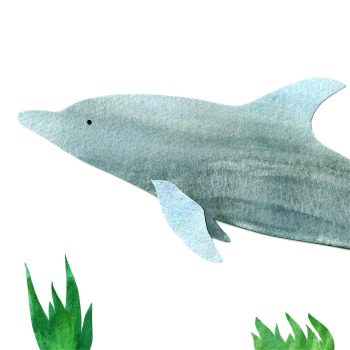 Bottlenose Dolphin Print Detail