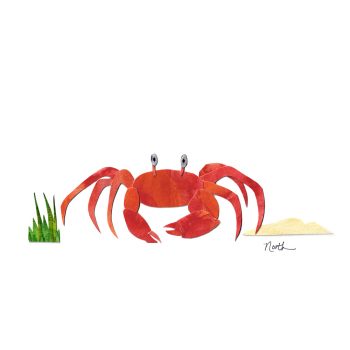 Red Ghost Crab Print