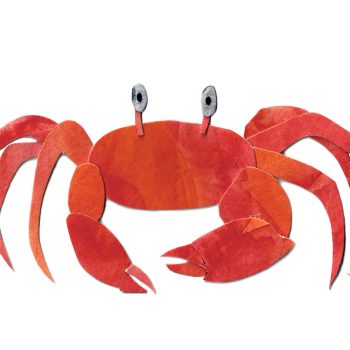 Red Ghost Crab Print Detail