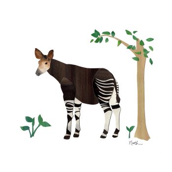 Okapi Print