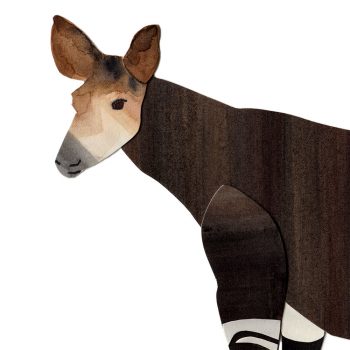 Okapi Print Detail