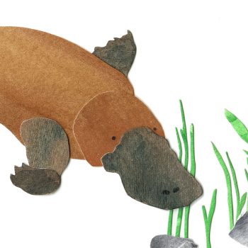 Platypus Print Detail